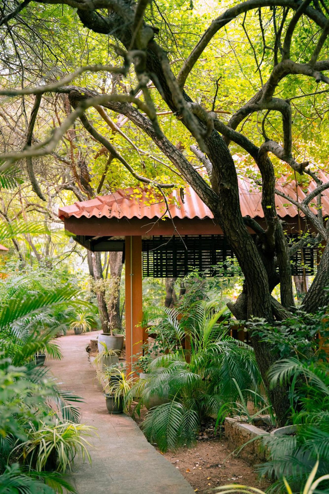 Safari Lodge Yala Kataragama Esterno foto