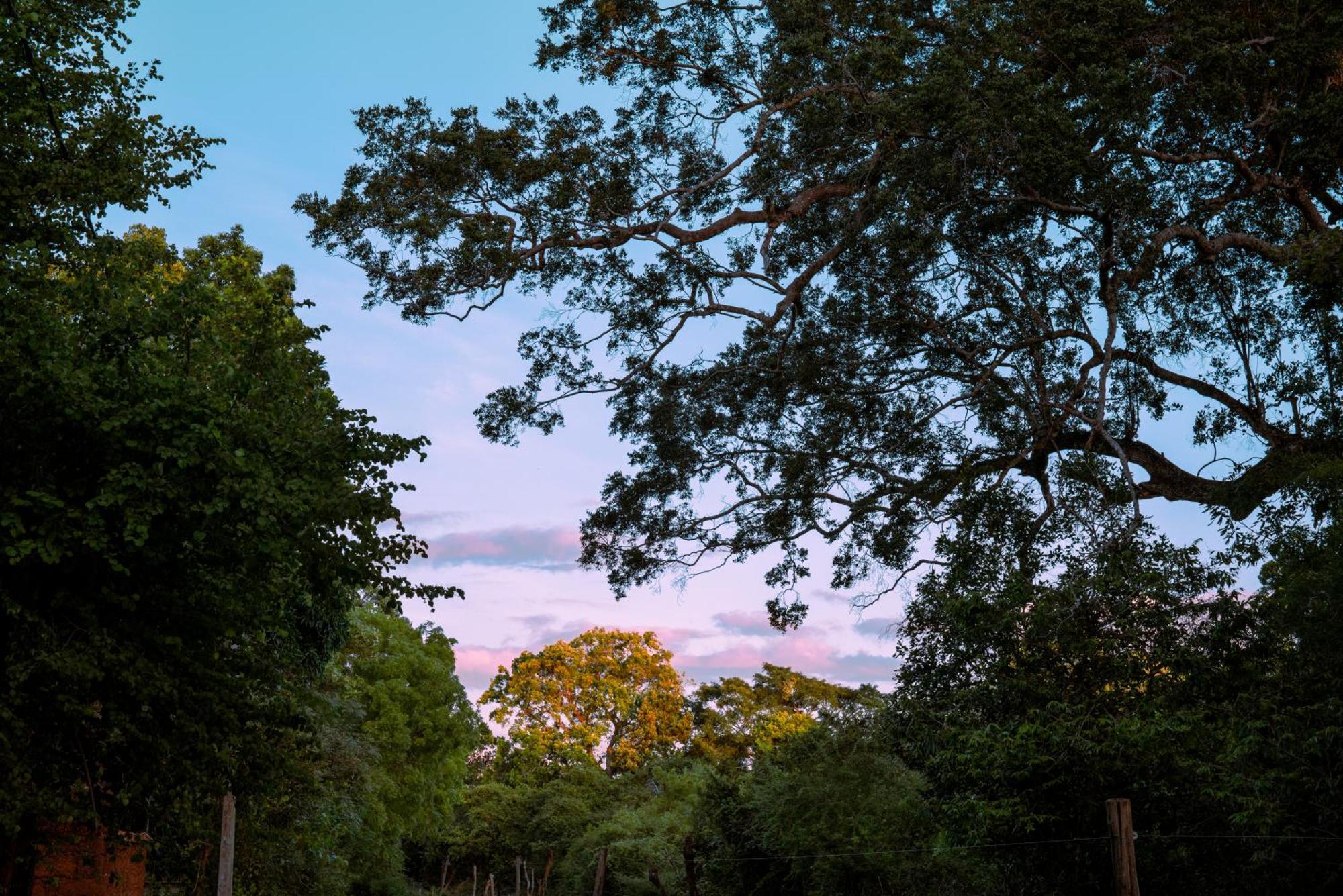 Safari Lodge Yala Kataragama Esterno foto