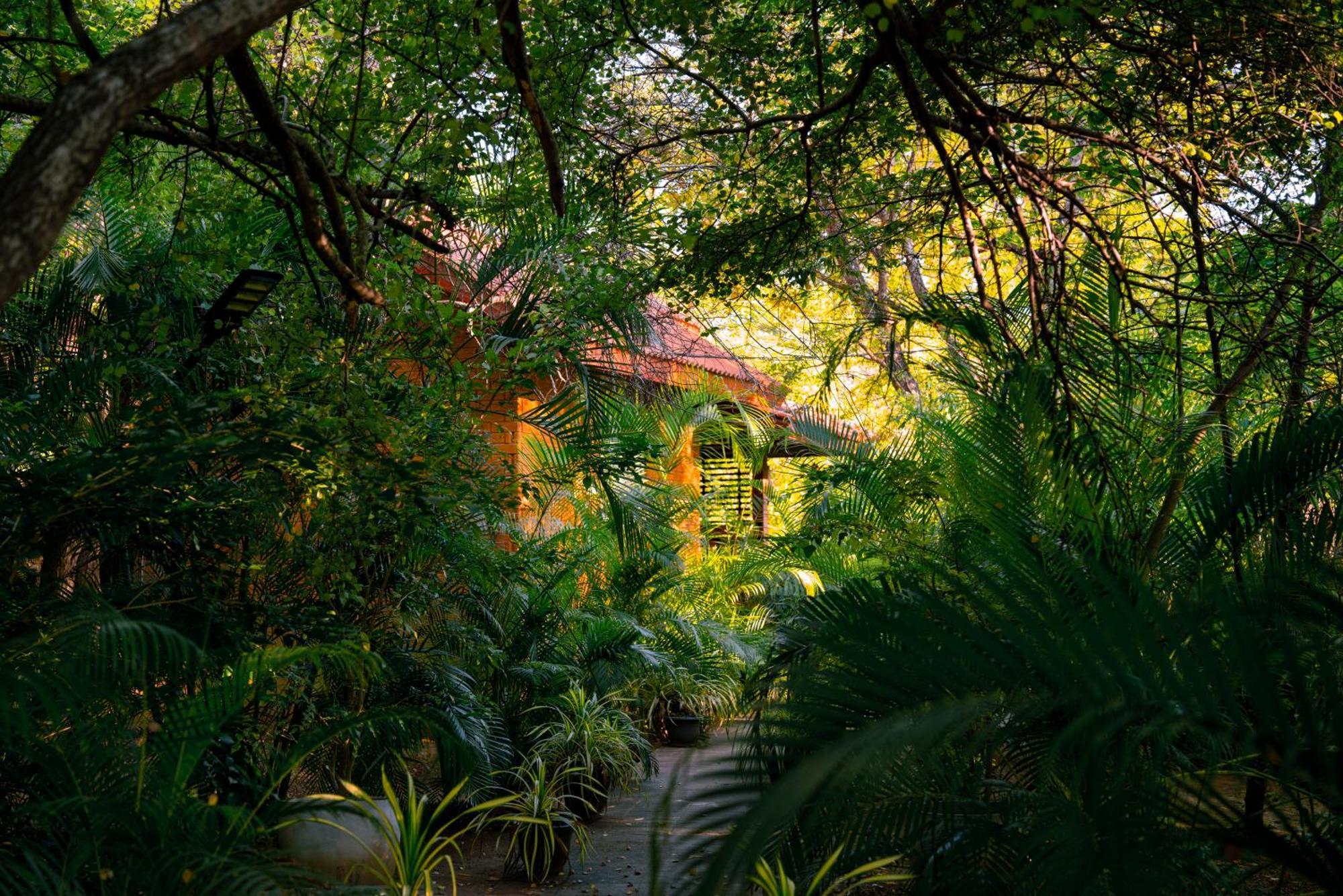 Safari Lodge Yala Kataragama Esterno foto