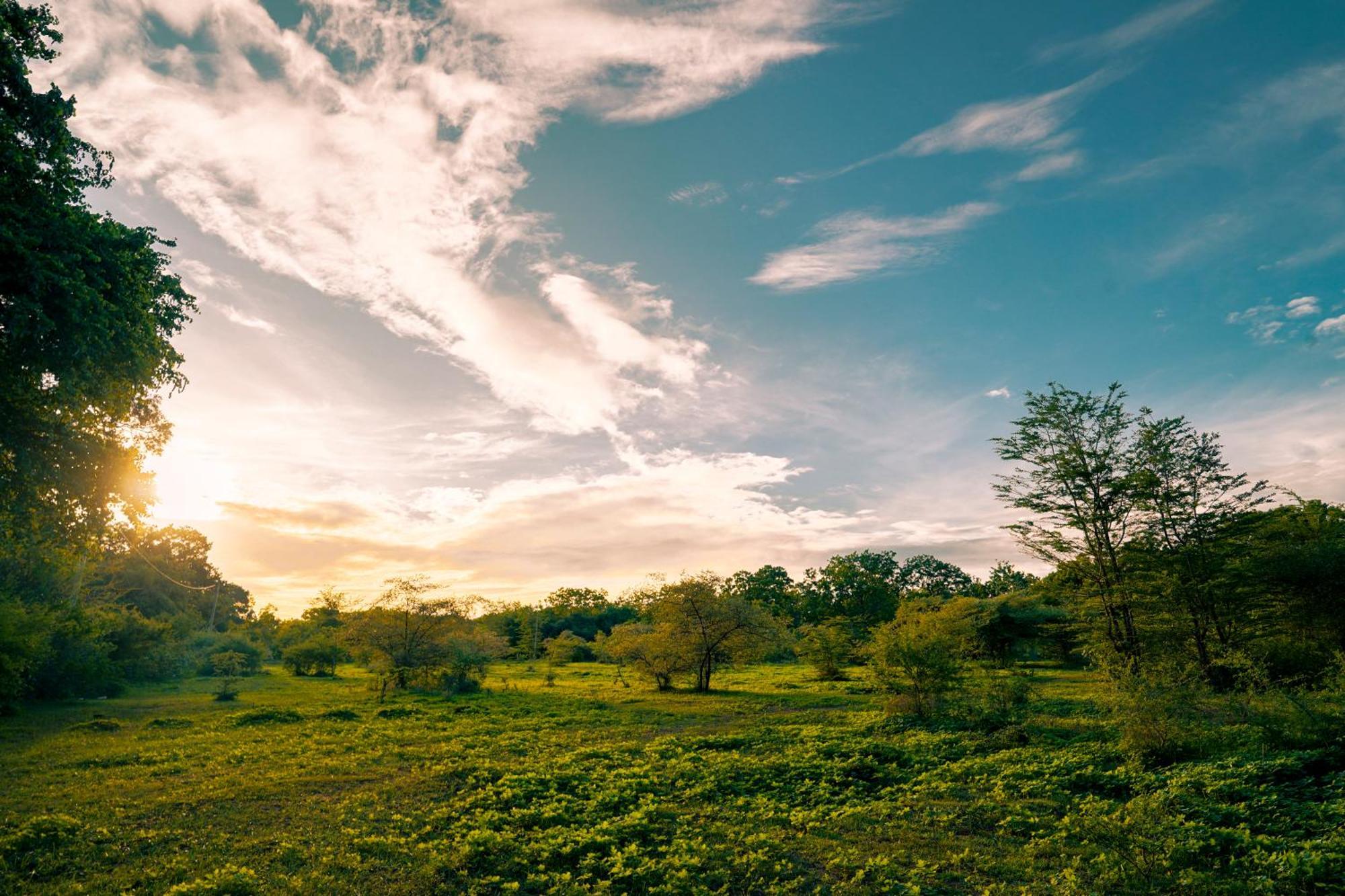 Safari Lodge Yala Kataragama Esterno foto