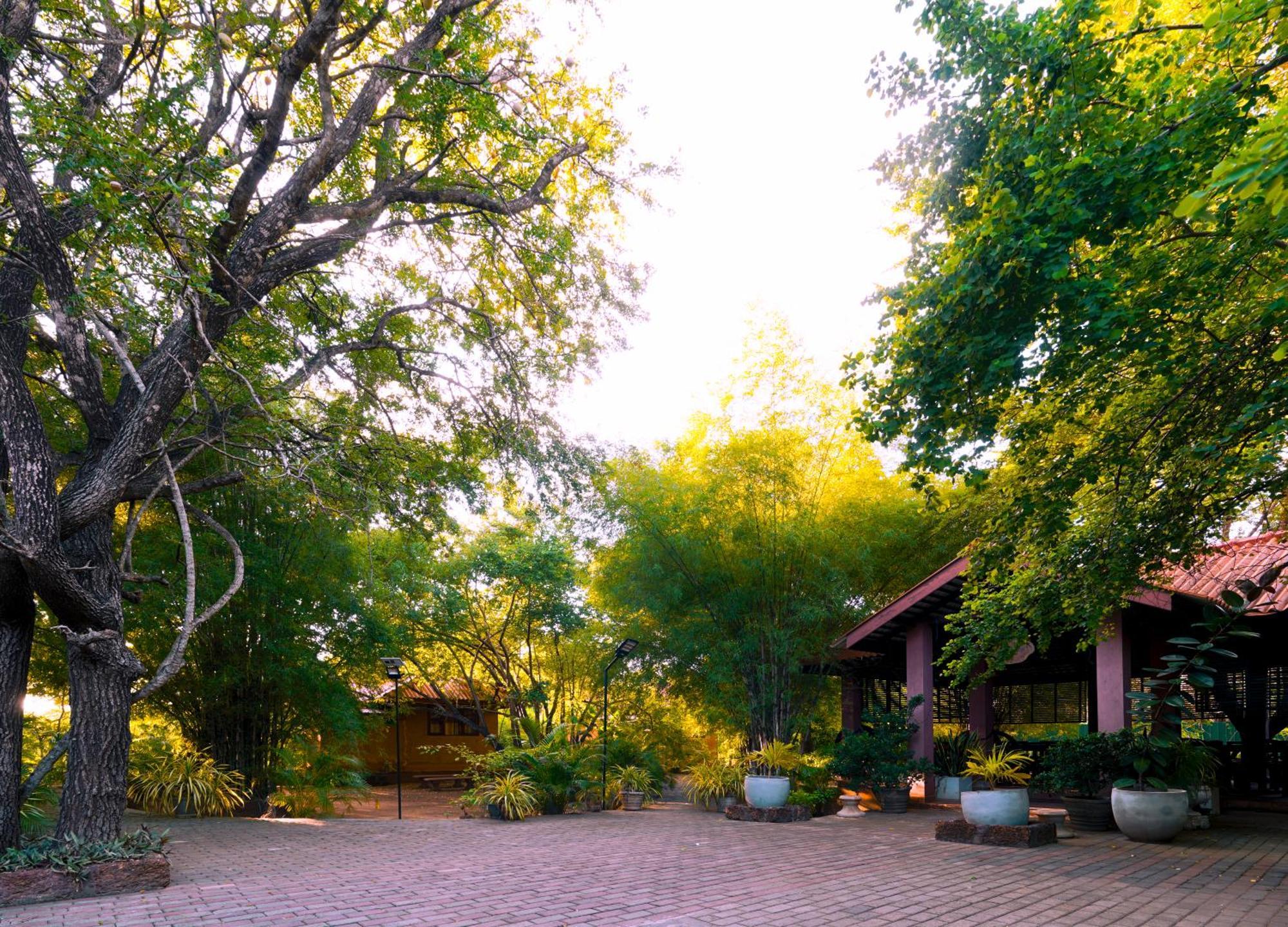 Safari Lodge Yala Kataragama Esterno foto